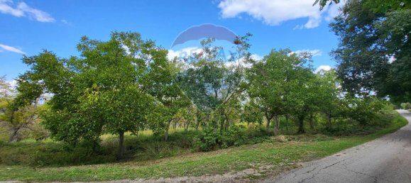 Земельный участок с 1 комнатой в Мерго, Италия № 4777 2