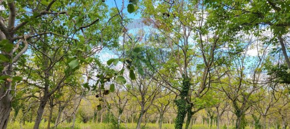 Земельный участок с 1 комнатой в Мерго, Италия № 4777 4