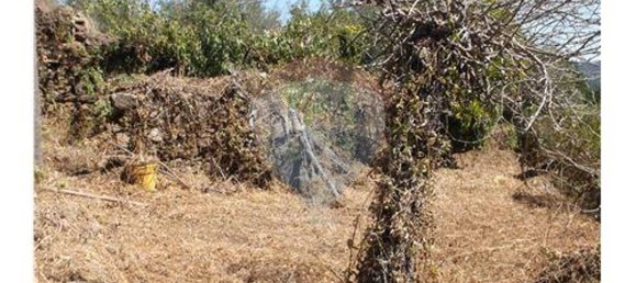 3 bedrooms House in Alvaiazere, Portugal No. 188549 5