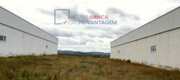 99999m² Building in Moura, Portugal No. 32056 6