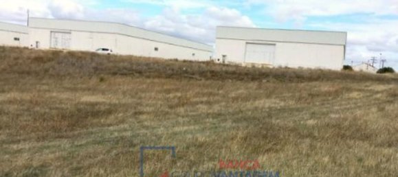 99999m² Building in Moura, Portugal No. 32056 3