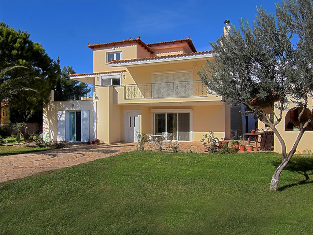 7 chambres propriété commerciale à vendre à Anavyssos, Saronikos, East Attica, Attica, Greece № 6855