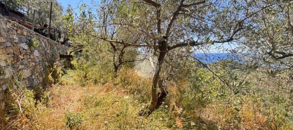 Дом с 1 спальней в Генуя, Италия № 291726 10