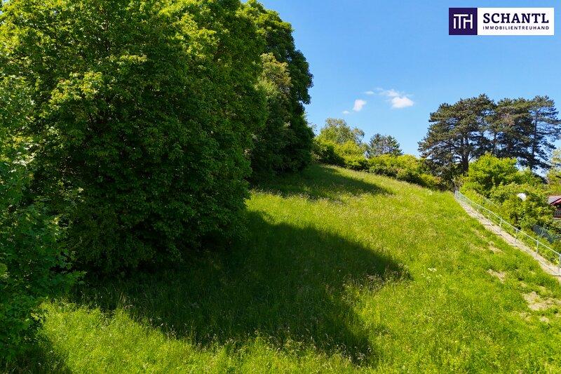 Terreno en Klosterneuburg, Austria No. 257455