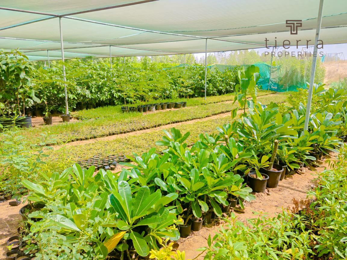 Terrain à Al Aweer, UAE 13935.3m² No. 41602