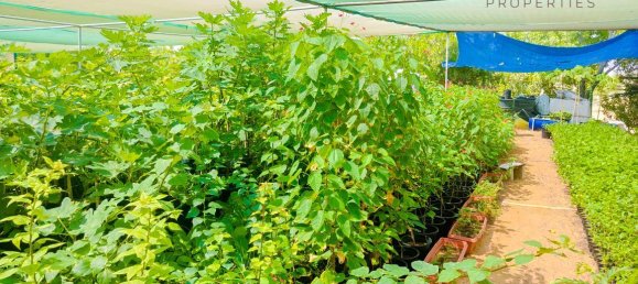 Terrain à Al Aweer, UAE 13935.3m² No. 41602 4