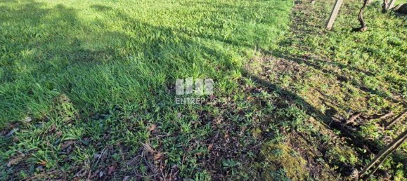 Grundstück in Viana do Castelo, Portugal 3136m², Nr. 212140 22