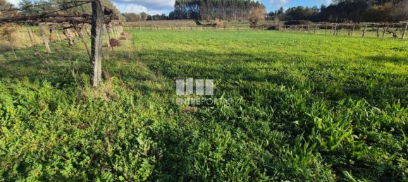 Grundstück in Viana do Castelo, Portugal 3136m², Nr. 212140 23