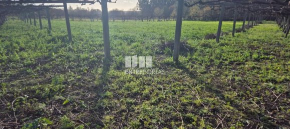 Grundstück in Viana do Castelo, Portugal 3136m², Nr. 212140 19