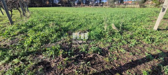 Grundstück in Viana do Castelo, Portugal 3136m², Nr. 212140 21