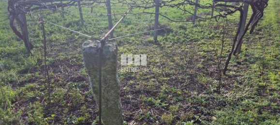 Grundstück in Viana do Castelo, Portugal 3136m², Nr. 212140 18