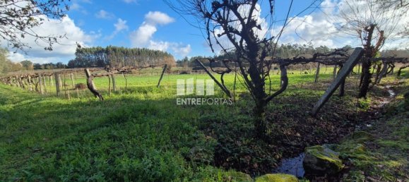 Grundstück in Viana do Castelo, Portugal 3136m², Nr. 212140 15