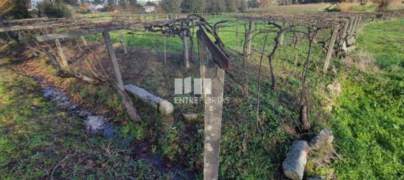 Grundstück in Viana do Castelo, Portugal 3136m², Nr. 212140 26