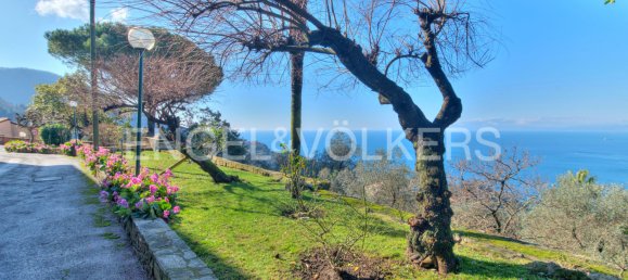 2 bedrooms Apartment in Camogli, Italy No. 102891 15