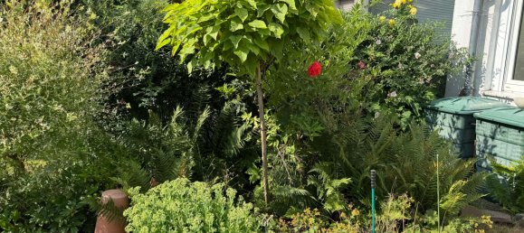 4-salle Maison de ville à Kassel, Germany No. 271550 25