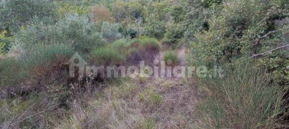 16 bedrooms Villa in Cortona, Italy No. 358759 48