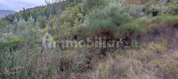 16 bedrooms Villa in Cortona, Italy No. 358759 49