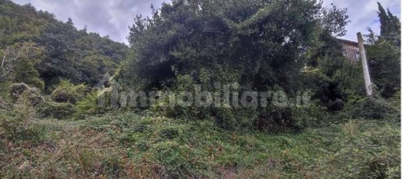 16 bedrooms Villa in Cortona, Italy No. 358759 9