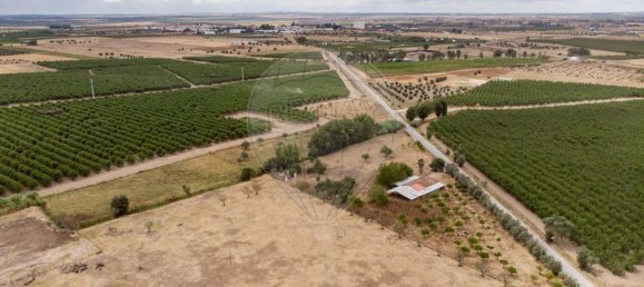 Casa T2 em Cuba, Portugal N.º 174286 4