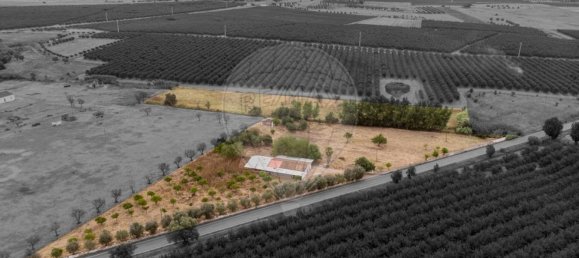 Casa T2 em Cuba, Portugal N.º 174286 2