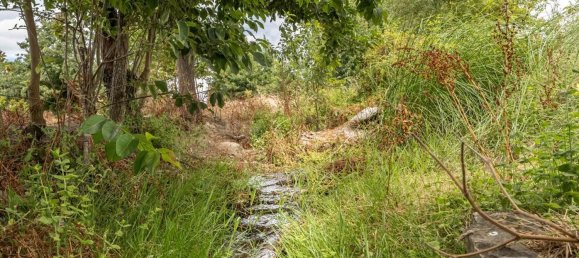 Casa T2 em Cuba, Portugal N.º 174286 20