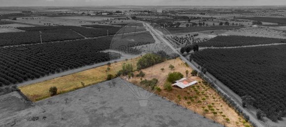 Casa T2 em Cuba, Portugal N.º 174286 5