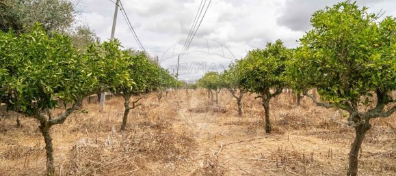 Casa T2 em Cuba, Portugal N.º 174286 7