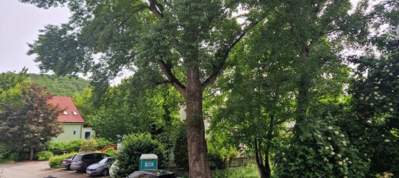 Apartamento T2 em Langenzersdorf, Austria N.º 179645 6