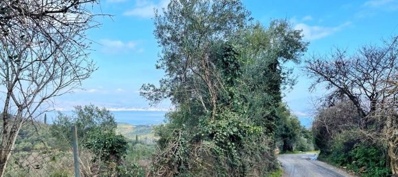 Hotel in Corfu, Greece 4111m², Nr. 3293 7