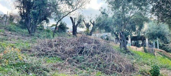 Hotel in Corfu, Greece 4111m², Nr. 3293 11