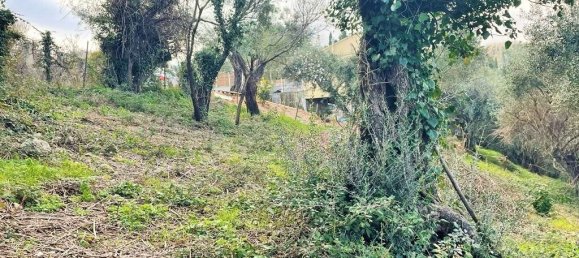 Hotel in Corfu, Greece 4111m², Nr. 3293 10