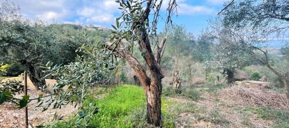 Hotel in Corfu, Greece 4111m², Nr. 3293 6