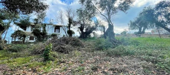 Hotel in Corfu, Greece 4111m², Nr. 3293 5