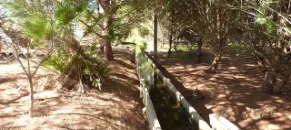 Дом с 4 спальнями в Силвиш, Португалия № 157120 2