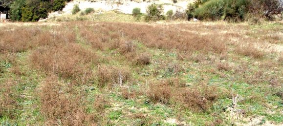 7000m² Hotel in Thessaloniki, Greece No. 8056 9