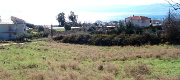 7000m² Hotel in Thessaloniki, Greece No. 8056 8