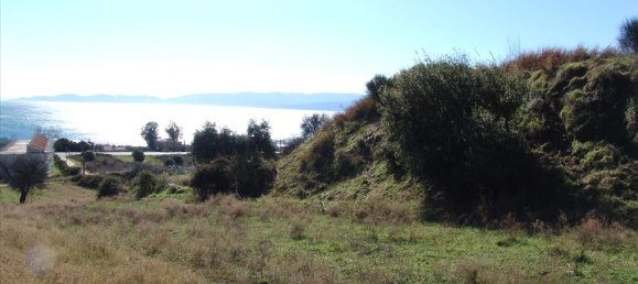 7000m² Hotel in Thessaloniki, Greece No. 8056 6