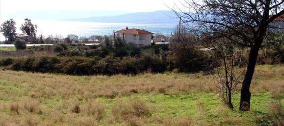 7000m² Hotel in Thessaloniki, Greece No. 8056 10