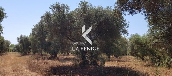 Casa de 3 divisões em Locorotondo, Italy N.º 23586 11