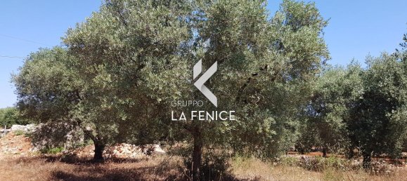 Casa de 3 divisões em Locorotondo, Italy N.º 23586 12