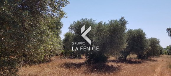 Casa de 3 divisões em Locorotondo, Italy N.º 23586 2