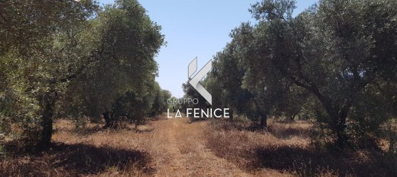 Casa de 3 divisões em Locorotondo, Italy N.º 23586 10