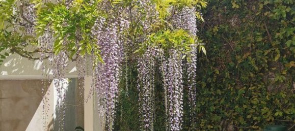 4 bedrooms House in Coimbra, Portugal No. 144475 22