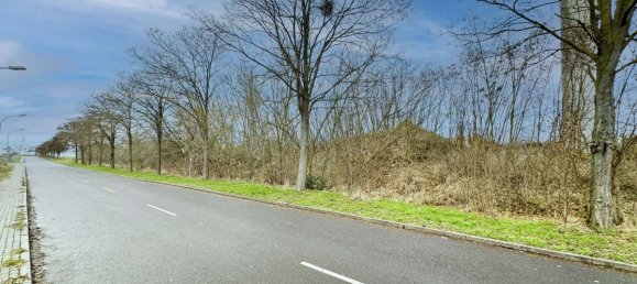 Terrain à Salzlandkreis, Germany 12417m² No. 107800 23