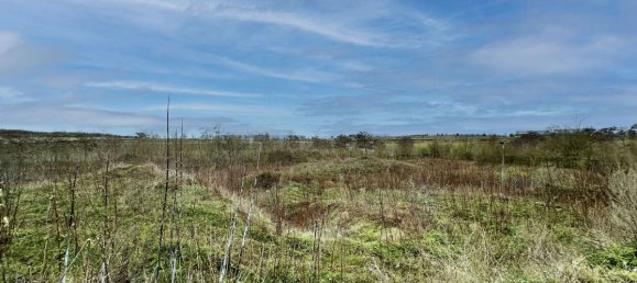 Terrain à Salzlandkreis, Germany 12417m² No. 107800 20