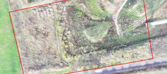 Terrain à Salzlandkreis, Germany 12417m² No. 107800 14