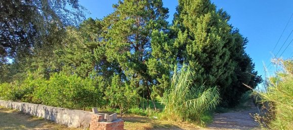 5152m² Land in Torrenova, Italy No. 300828 3