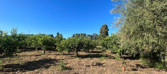 5152m² Land in Torrenova, Italy No. 300828 9
