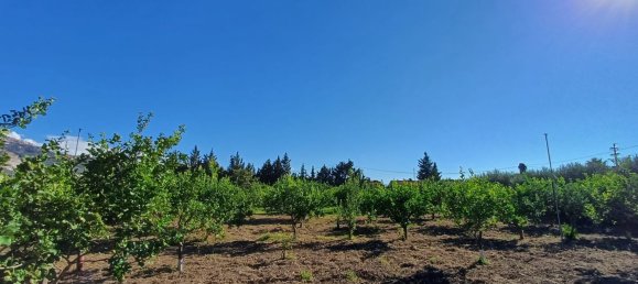 5152m² Land in Torrenova, Italy No. 300828 17