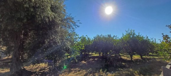 5152m² Land in Torrenova, Italy No. 300828 6